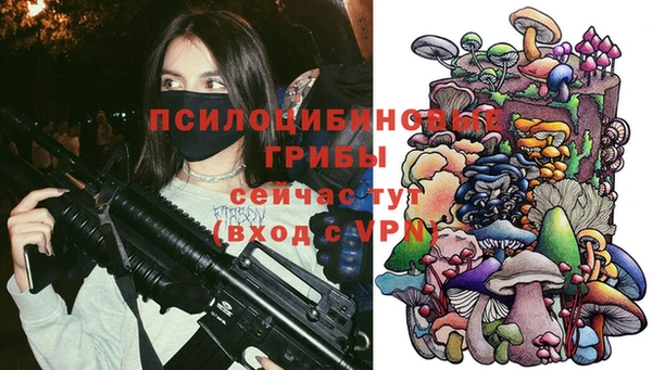 ГАЛЛЮЦИНОГЕННЫЕ ГРИБЫ Баксан