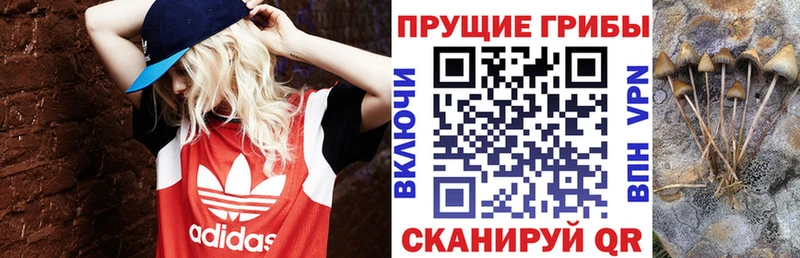 KRAKEN   наркота  Мичуринск  Галлюциногенные грибы мицелий 